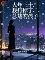 大年三十，我打掉了总裁的孩子