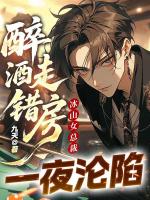 醉酒走错房，冰山女总裁一夜沦陷