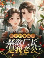 相亲对象搞错，禁欲厂长是我老公