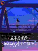 五年后重逢，他让我再生个孩子