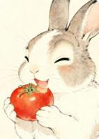 小知青要回城，开局先抢了金手指