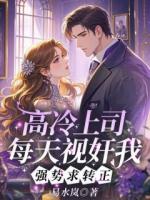 高冷上司每天视奸我，强势求转正