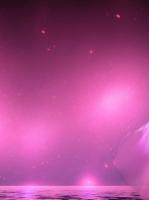 成为地下拳王后，未婚夫后悔疯了