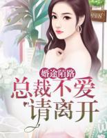 婚途陌路：总裁不爱请离开