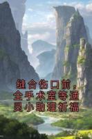 缝合伤口前，全手术室等通灵小助理祈福