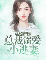 婚外错爱：总裁溺爱小逃妻