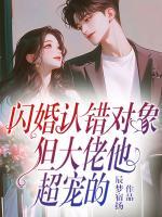闪婚认错对象，但大佬他超宠的