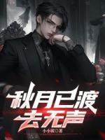 秋月已渡去无声