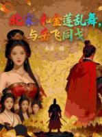 北宋：和金莲乱舞，与岳飞同戈