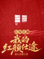 宦海狂澜：我的红颜仕途