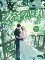 风止南墙，花落不归期