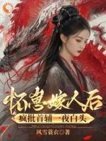 怀崽嫁人后，疯批首辅一夜白头