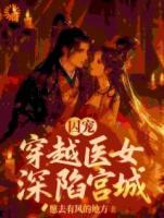 囚宠，穿越医女深陷宫城