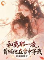 和离那一夜，首辅他在雪中等我
