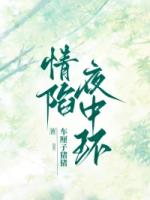 情陷夜中环
