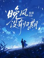 晚风没有归期