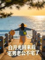 白月光回来后，宅男老公不宅了