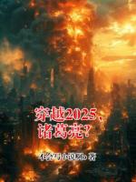 穿越2025，诸葛亮？