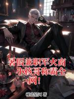 暑假兼职军火商，小孩哥称霸全网！