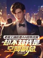 老员工扬言要AA我年终奖，却不知我是空降副总