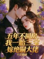 五年不圆房，我一胎三宝嫁绝嗣大佬