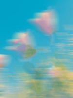 不存在的公交车