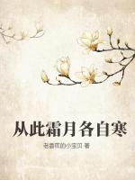 从此霜月各自寒