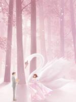 心口的疤，与你皆落幕