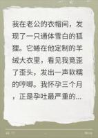 狐狸精是老公真爱变得，重生后我替他们选择了结局