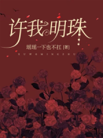 许我明珠