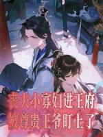 丧夫小寡妇进王府，被尊贵王爷盯上了
