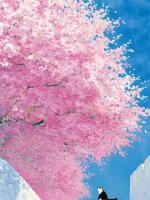 手撕被宠坏的小哭包妈妈