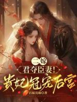 二嫁：君夺臣妻！贵妃冠宠后宫