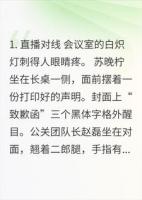 星光博弈：顶流契约妻