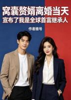 窝囊赘婿离婚当天宣布了我是全球首富继承人