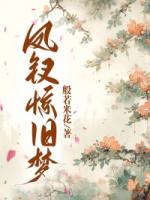 凤钗惊旧梦