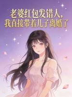 老婆红包发错人，我直接带着儿子离婚了