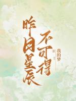 昨日星辰不可得