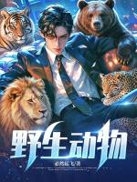 野生动物
