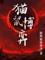 猫鼠博弈