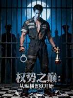 权势之巅：从纵横监狱开始
