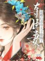 夺臣妻，退婚后清冷太子他悔了