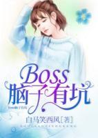 BOSS脑子有坑