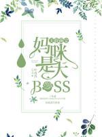 天价萌宝：妈咪是大BOSS