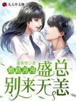 婚路漫漫：盛总，别来无恙