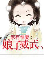 家有悍妻：娘子威武