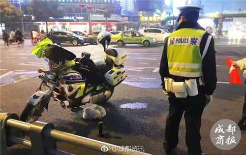 流浪小狗求助辅警 网友:被交警小哥的背影暖哭了!