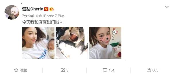 雪梨晒儿子正脸照 雪梨老公是谁 张衍个人资料