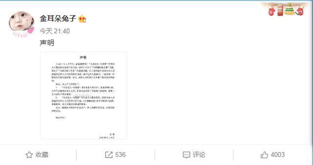 马蓉发声明说了什么 公益达人-马蓉蓉到底做了什么?