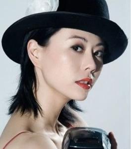 范冰冰陆毅到底什么关系 章子怡裸替是谁 邵小珊个人资料